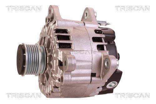 Alternateur Triscan A/S 8310 13062