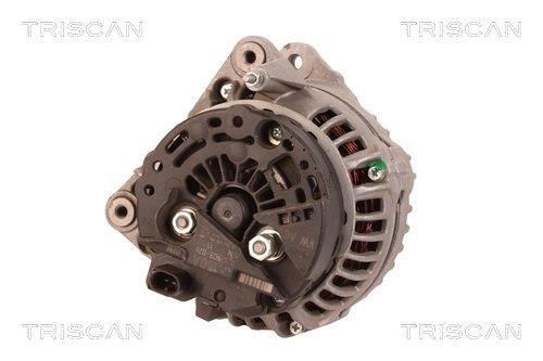 Alternateur Triscan A/S 8310 14001
