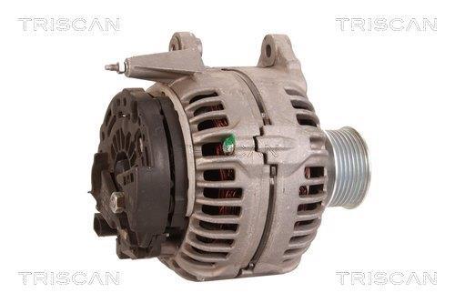 Alternateur Triscan A/S 8310 14001