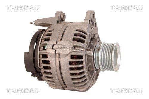 Alternateur Triscan A/S 8310 14001