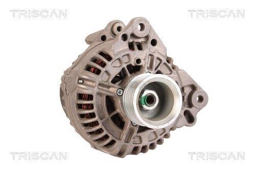Alternateur Triscan A/S 8310 14001