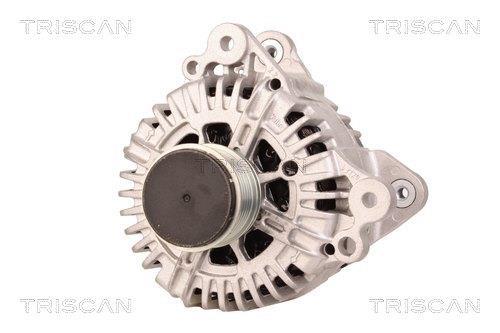 Alternateur Triscan A/S 8310 14001