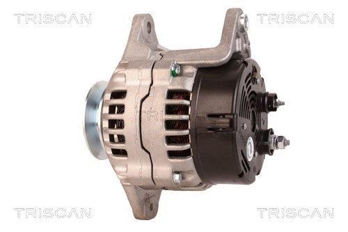 Alternateur Triscan A/S 8310 14002