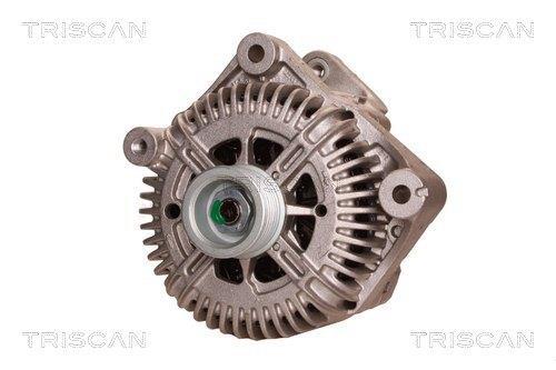 Alternateur Triscan A/S 8310 14003