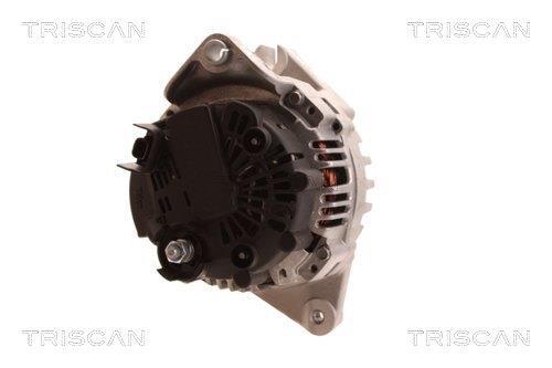 Alternateur Triscan A/S 8310 14004