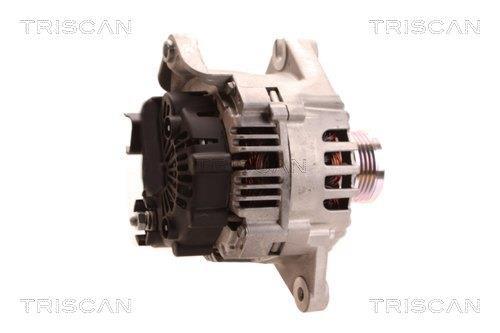 Alternateur Triscan A/S 8310 14004