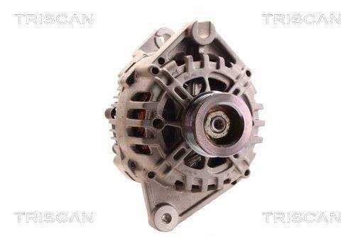 Alternateur Triscan A/S 8310 14004