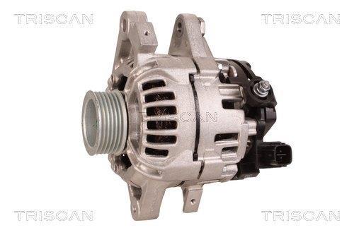 Alternateur Triscan A/S 8310 14004