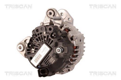 Alternateur Triscan A/S 8310 14010