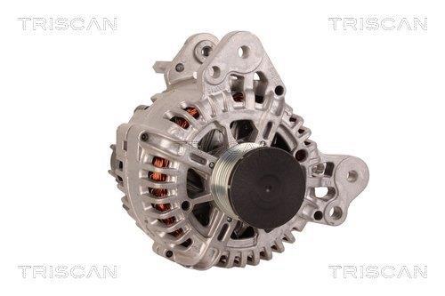 Alternateur Triscan A/S 8310 14010