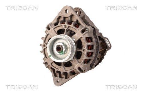 Alternateur Triscan A/S 8310 14010