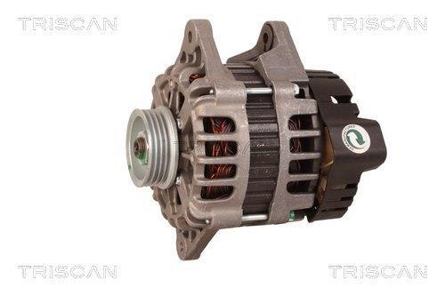 Alternateur Triscan A/S 8310 14010