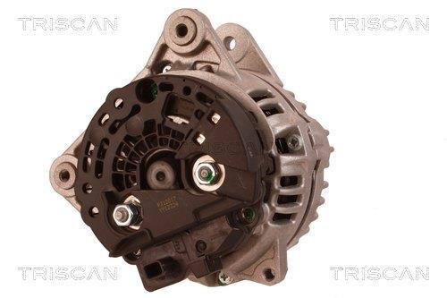 Alternateur Triscan A/S 8310 14011