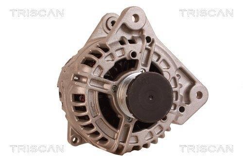 Alternateur Triscan A/S 8310 14011