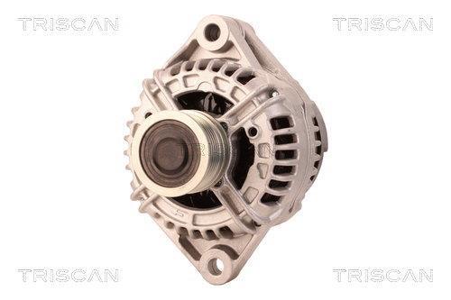 Alternateur Triscan A/S 8310 14011