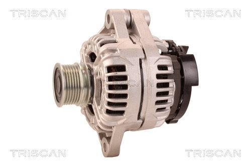 Alternateur Triscan A/S 8310 14011