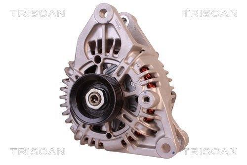 Alternateur Triscan A/S 8310 14012