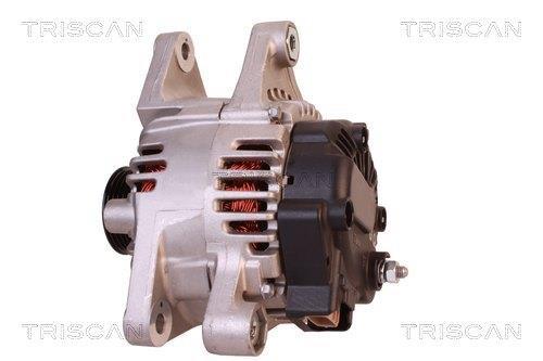 Alternateur Triscan A/S 8310 14012