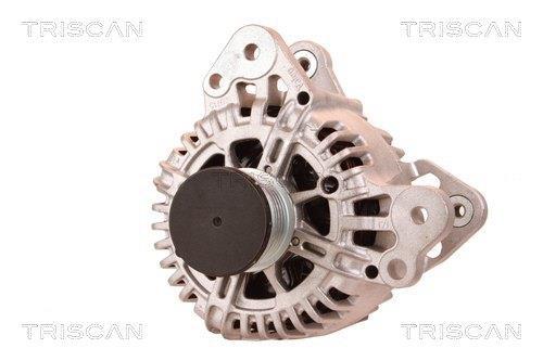 Alternateur Triscan A/S 8310 15023