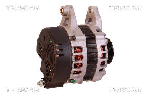 Alternateur Triscan A/S 8310 16002