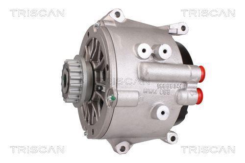 Alternateur Triscan A/S 8310 16017