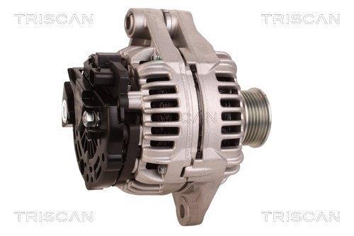 Alternateur Triscan A/S 8310 16021