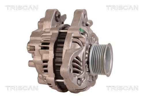 Alternateur Triscan A/S 8310 16023