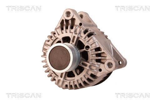 Alternateur Triscan A/S 8310 16031