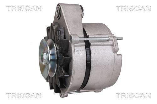 Alternateur Triscan A/S 8310 16043