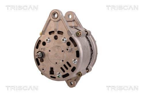 Alternateur Triscan A/S 8310 16046
