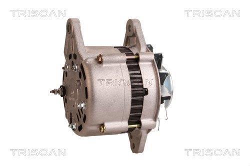 Alternateur Triscan A/S 8310 16046