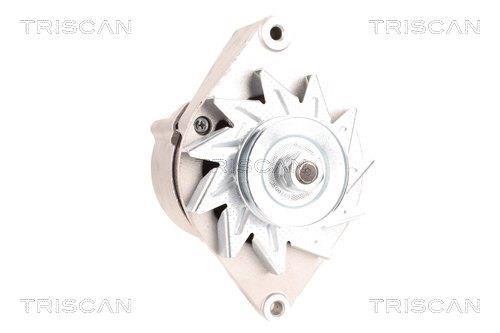 Alternateur Triscan A/S 8310 16048