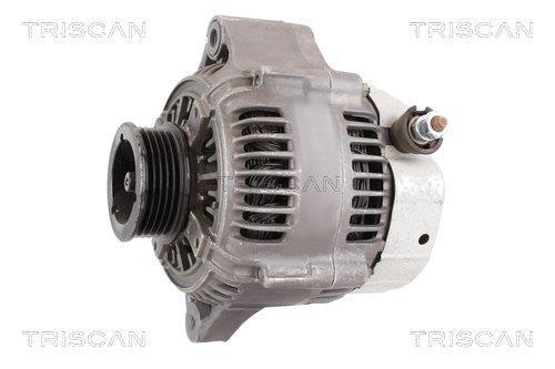 Alternateur Triscan A/S 8310 17001