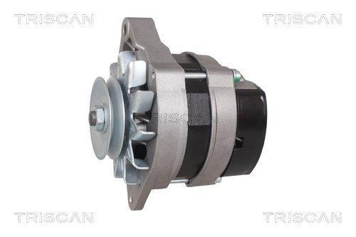 Alternateur Triscan A/S 8310 17002