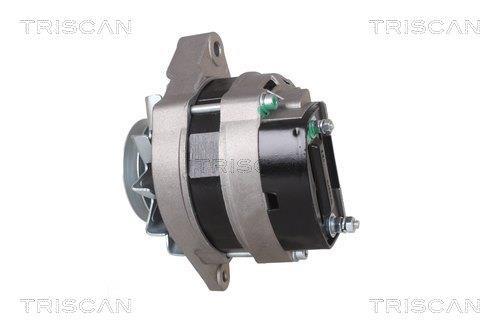 Alternateur Triscan A/S 8310 17002
