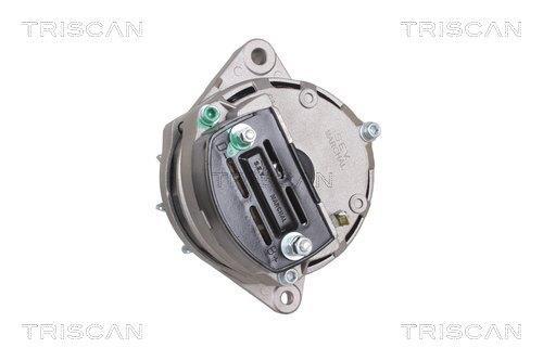 Alternateur Triscan A/S 8310 17002