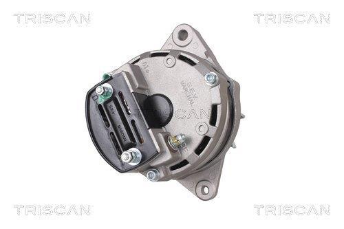 Alternateur Triscan A/S 8310 17002