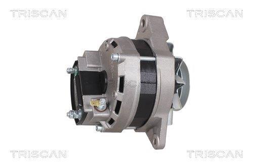 Alternateur Triscan A/S 8310 17002