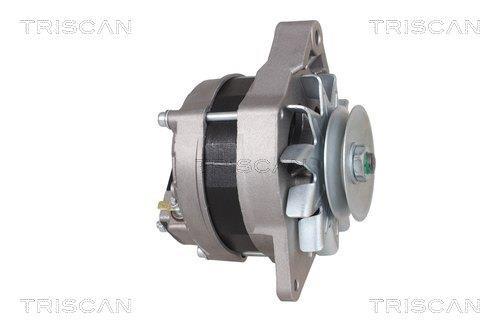 Alternateur Triscan A/S 8310 17002