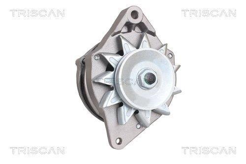 Alternateur Triscan A/S 8310 17002
