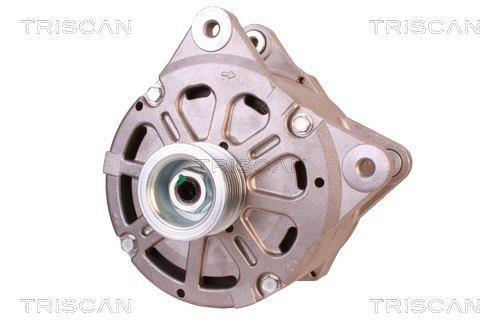 Alternateur Triscan A/S 8310 17004
