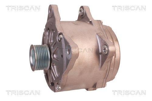 Alternateur Triscan A/S 8310 17004
