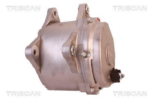 Alternateur Triscan A/S 8310 17004