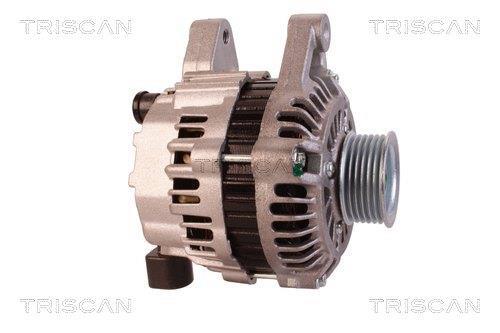 Alternateur Triscan A/S 8310 17005