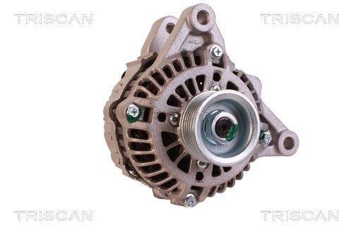 Alternateur Triscan A/S 8310 17005