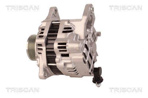 Alternateur Triscan A/S 8310 18002