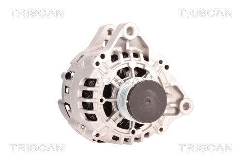 Alternateur Triscan A/S 8310 20001