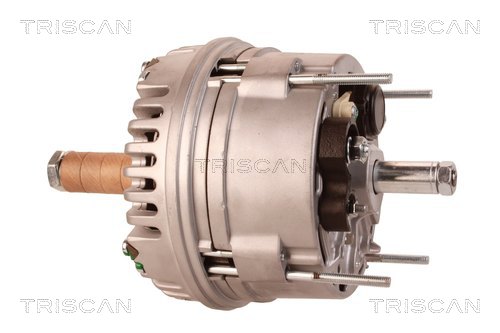 Alternateur Triscan A/S 8310 20002
