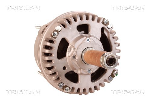 Alternateur Triscan A/S 8310 20002