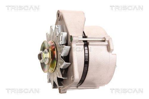 Alternateur Triscan A/S 8310 23001